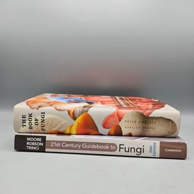 Botany - Fungi