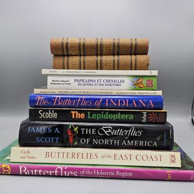 Biology - Butterflies