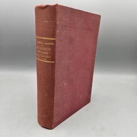 [Botany] Vascular Plants