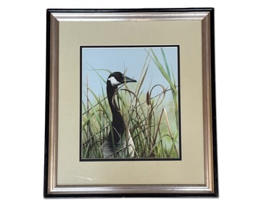 Patricia Taynton. Watercolor/Paper. Goose.