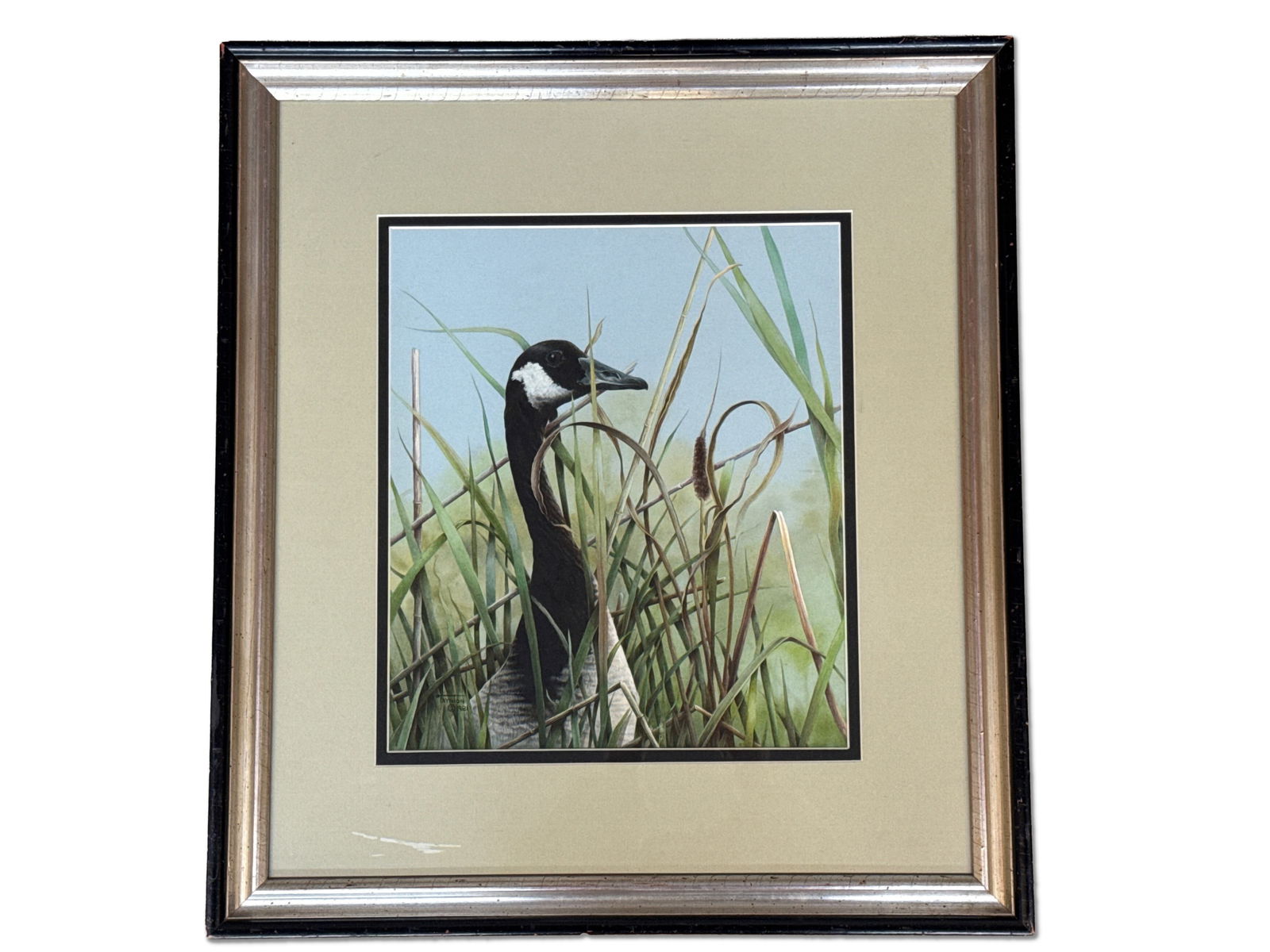 Patricia Taynton. Watercolor/Paper. Goose. (1 of 5)