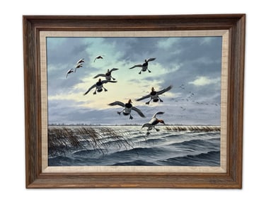 David A. Maass Oil on Board. Canvasback Ducks in Flight