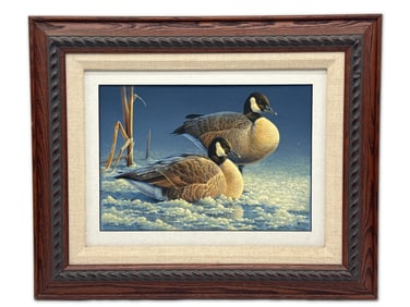Paco Young. Oil/Board. Canada Geese.