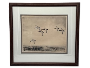 Roland Clark. Drypoint Etching. Canvasbacks.