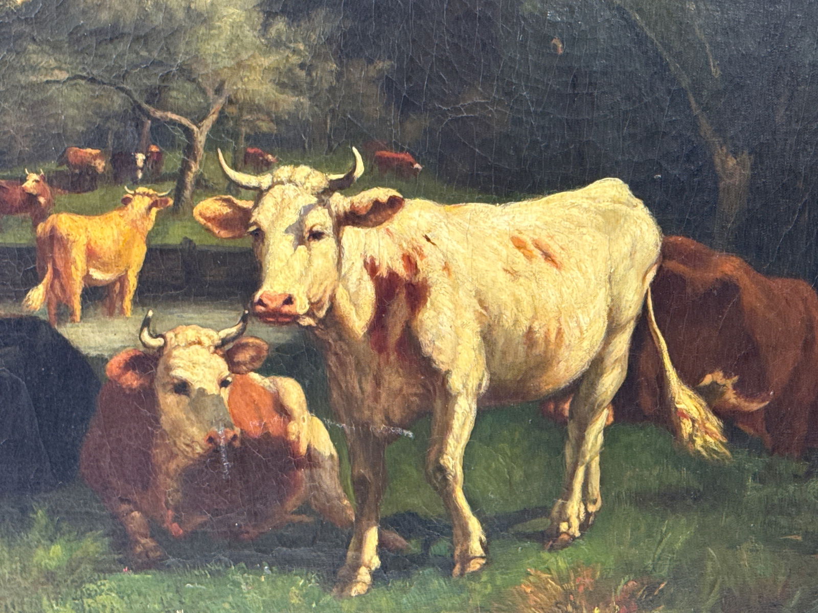 Unsigned Gilt-Framed Oil/Canvas: Cows - 2
