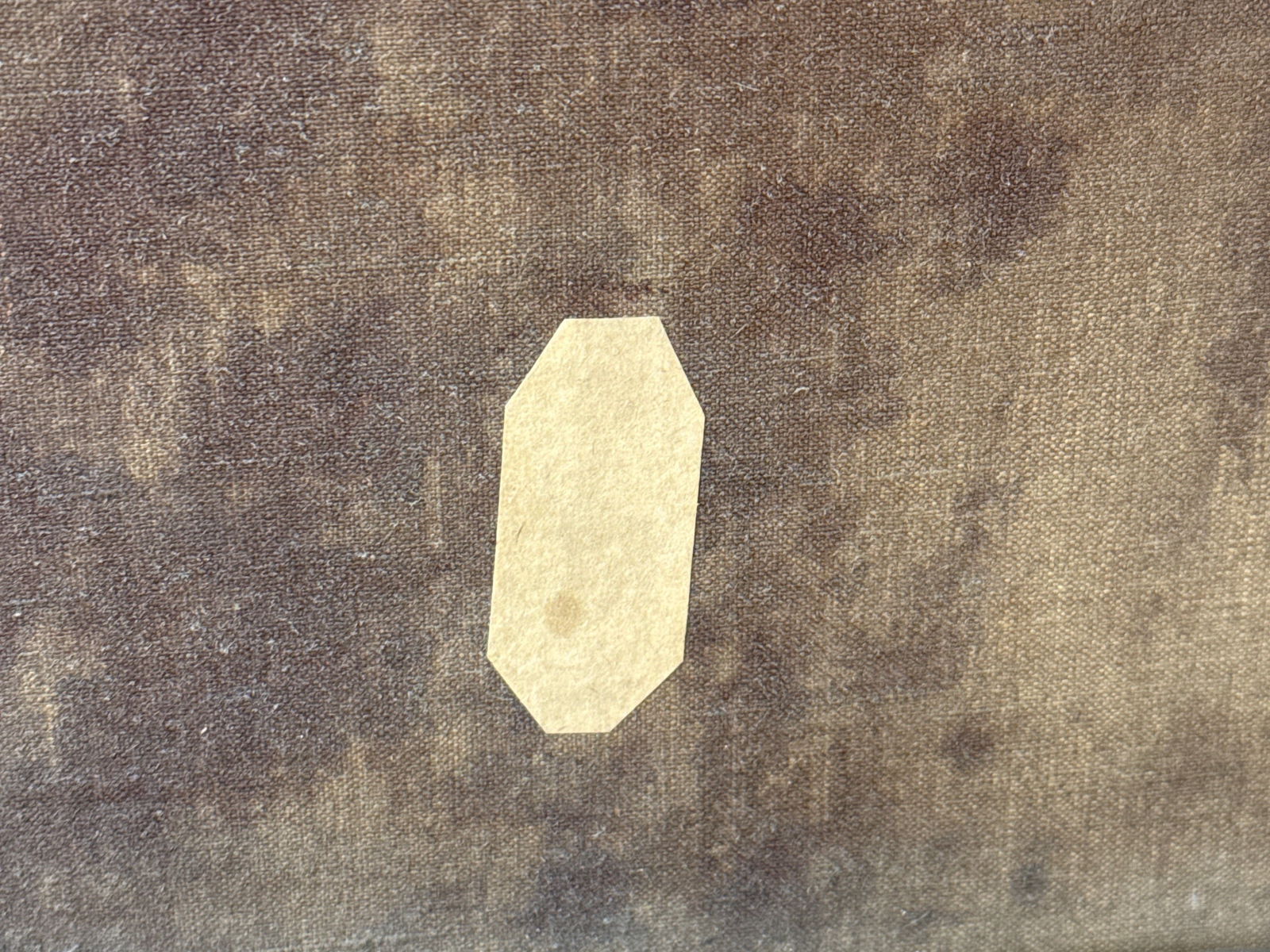 Unsigned Gilt-Framed Oil/Canvas: Cows - 5