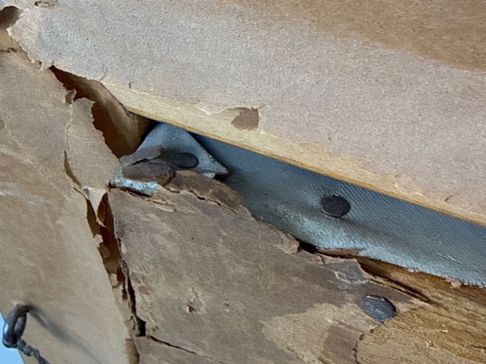 Unsigned Gilt-Framed Oil/Canvas: Cows - 6