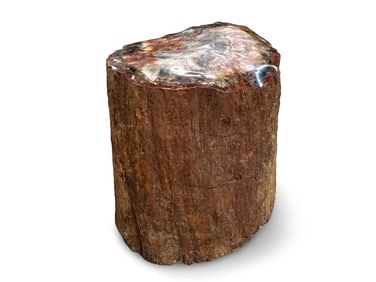 Petrified Wood Stump