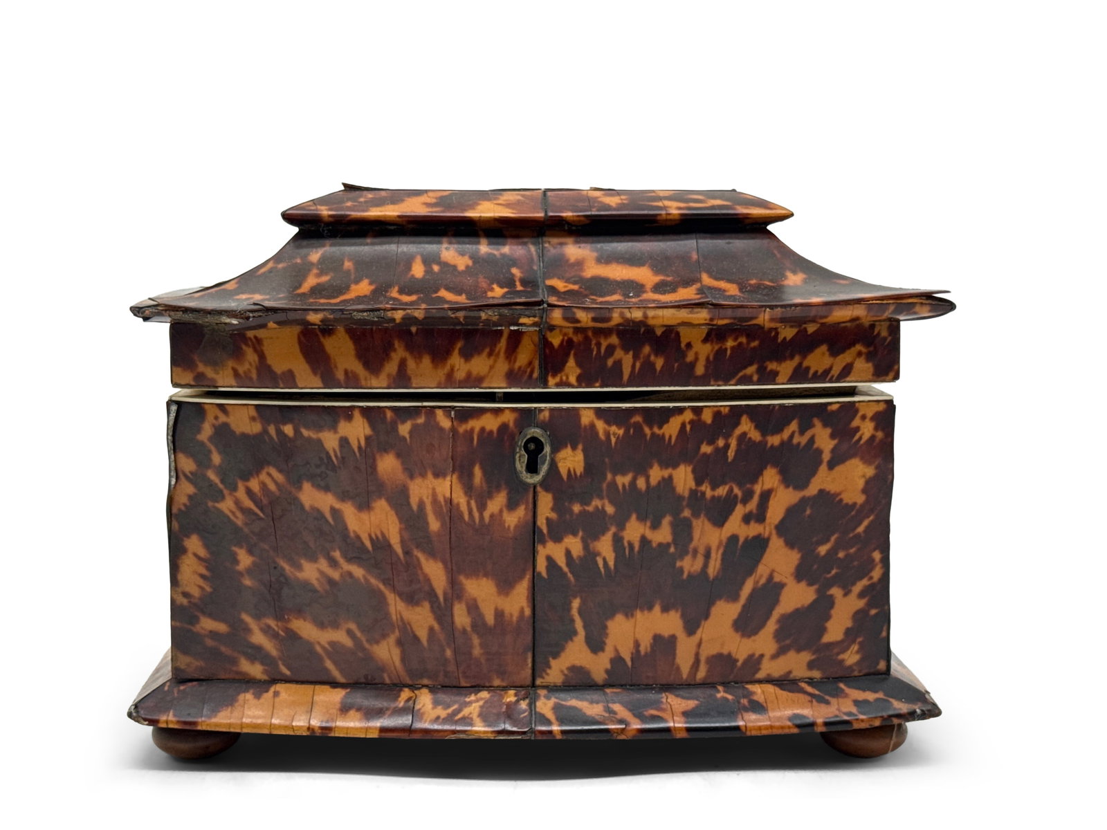 English Regency Tea Caddy (1 of 6)