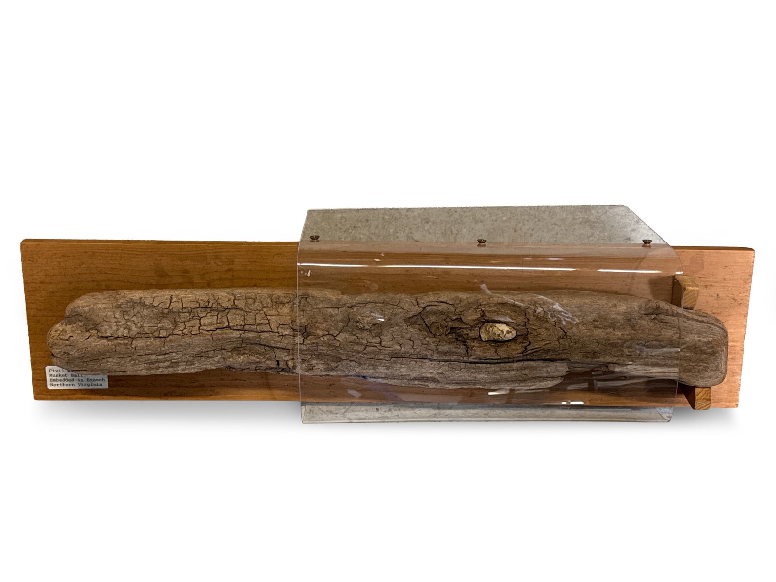 Virginia Tree Branch with Civil War-era . Musket Ball: A Civil War-era .58-caliber musket ball embedded in a Viriginia tree branch. Branch is mounted on a board, with a protective plexiglass cover over the musket ball. Board: 23-1/2in tall x 6in wide. | Y
