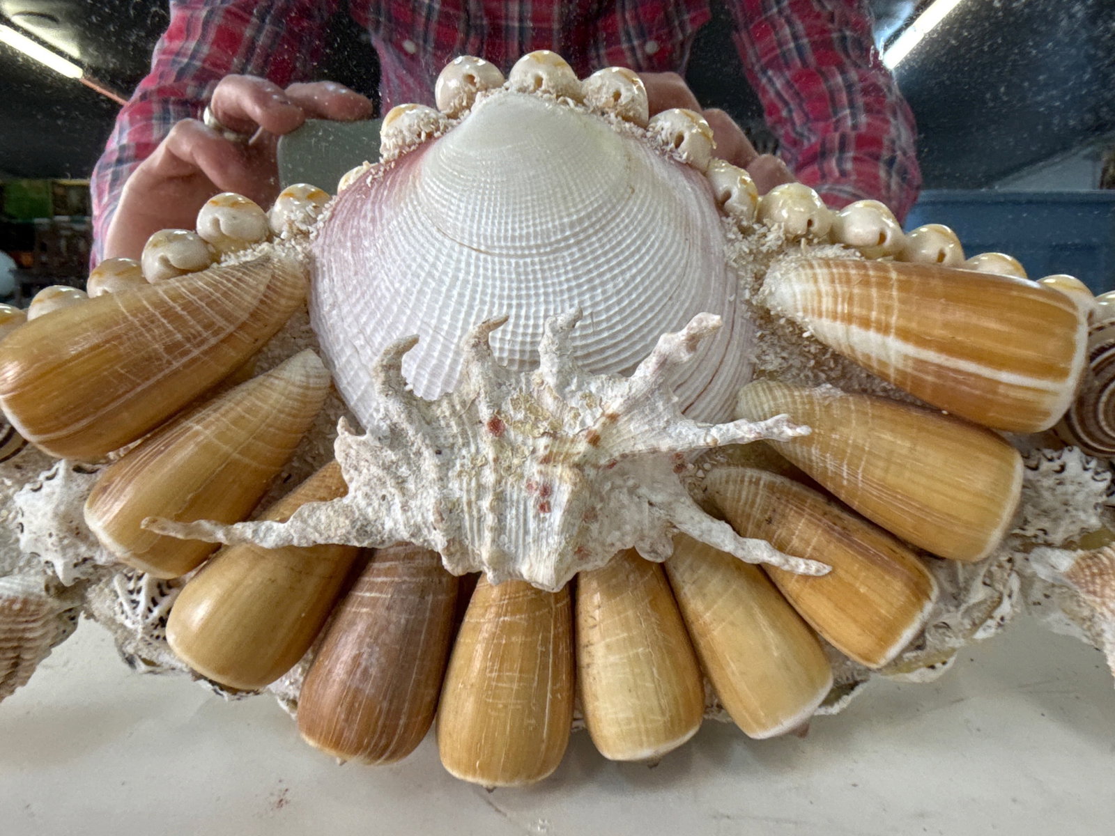 Shell Encrusted Wall Mirror - 4