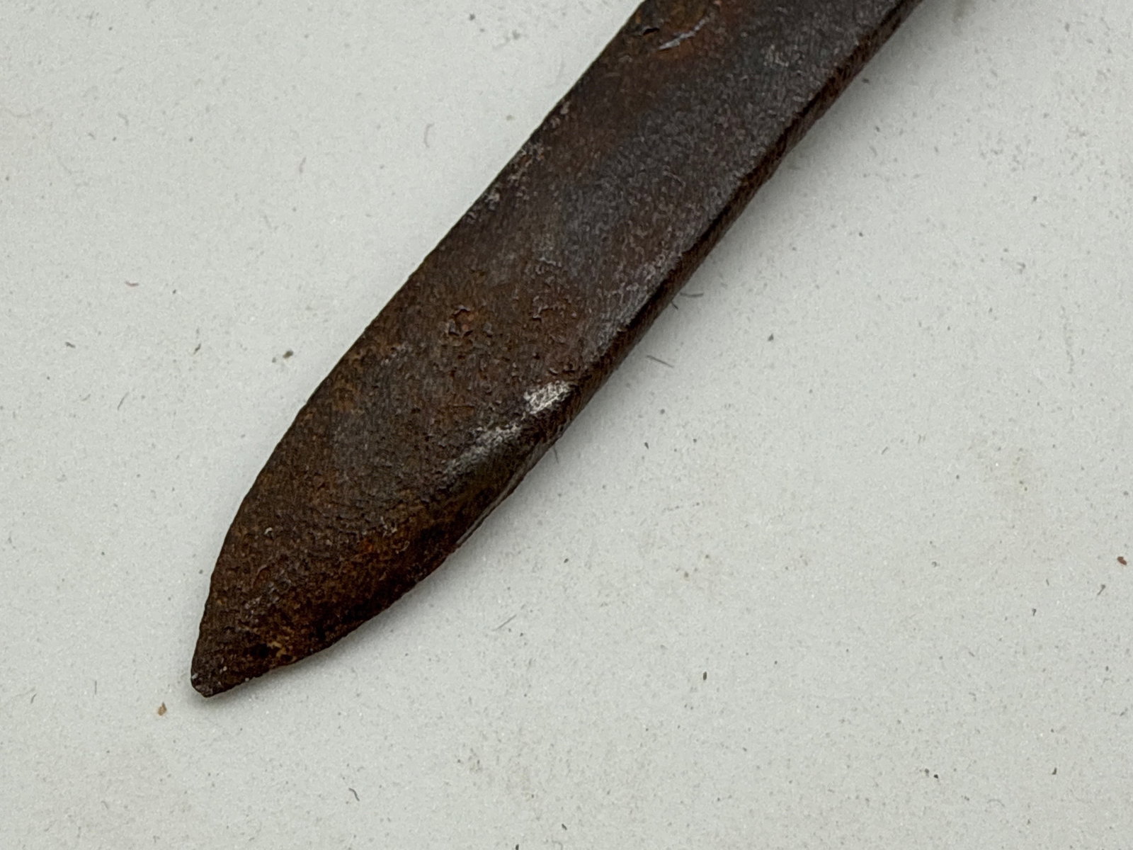 Lion Pommel Dagger - 4