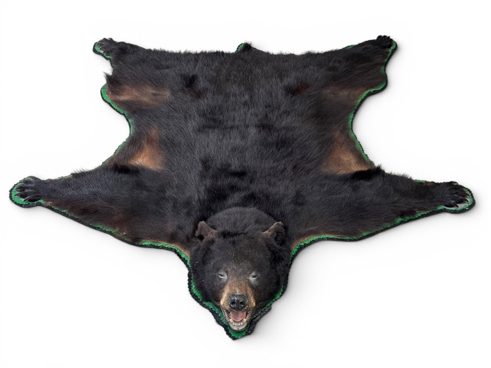 Black Bear Taxidermy Rug (1 of 5)