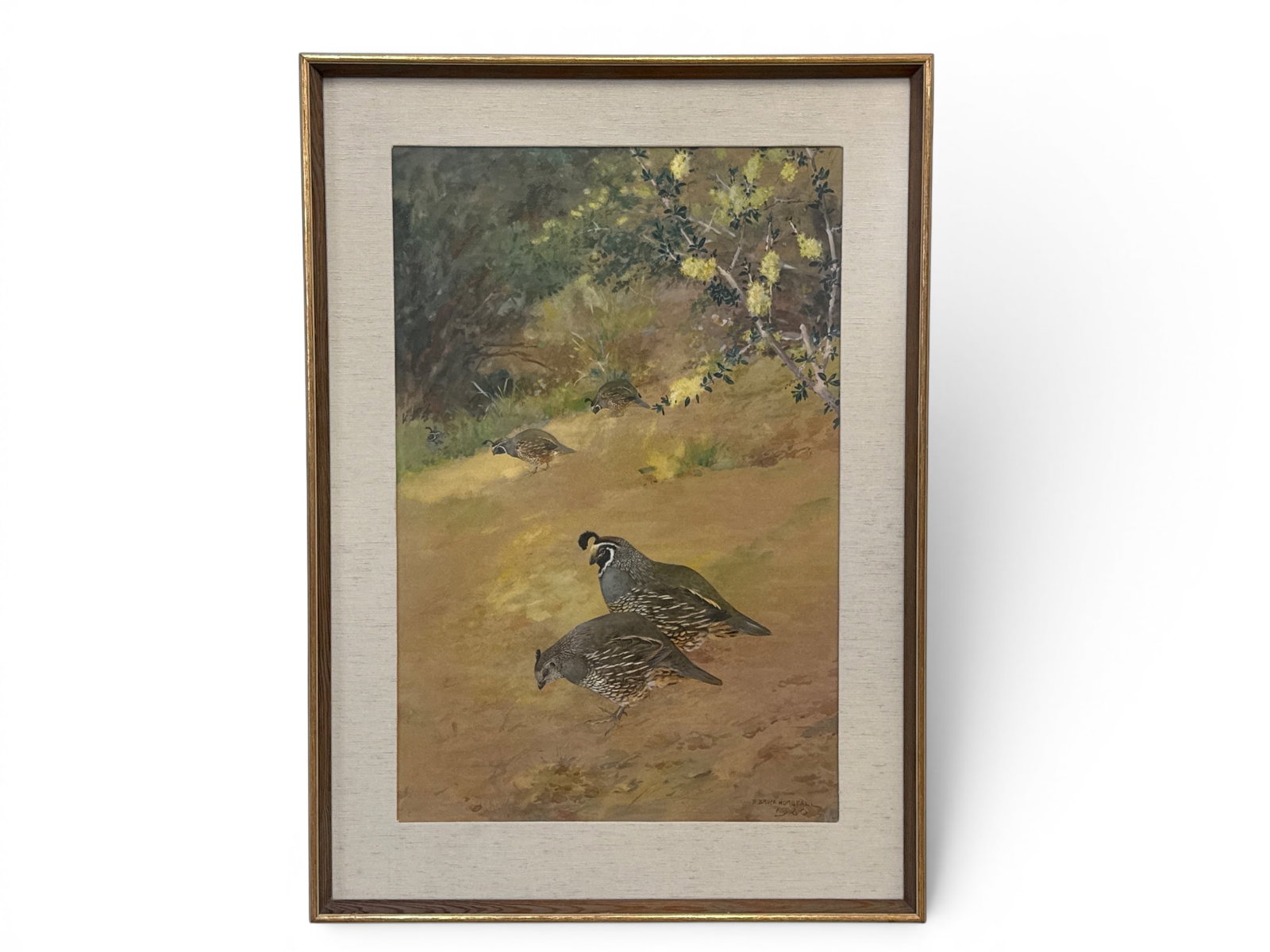 Robert B. Horsfall Watercolor/Paper: Quails (1 of 6)