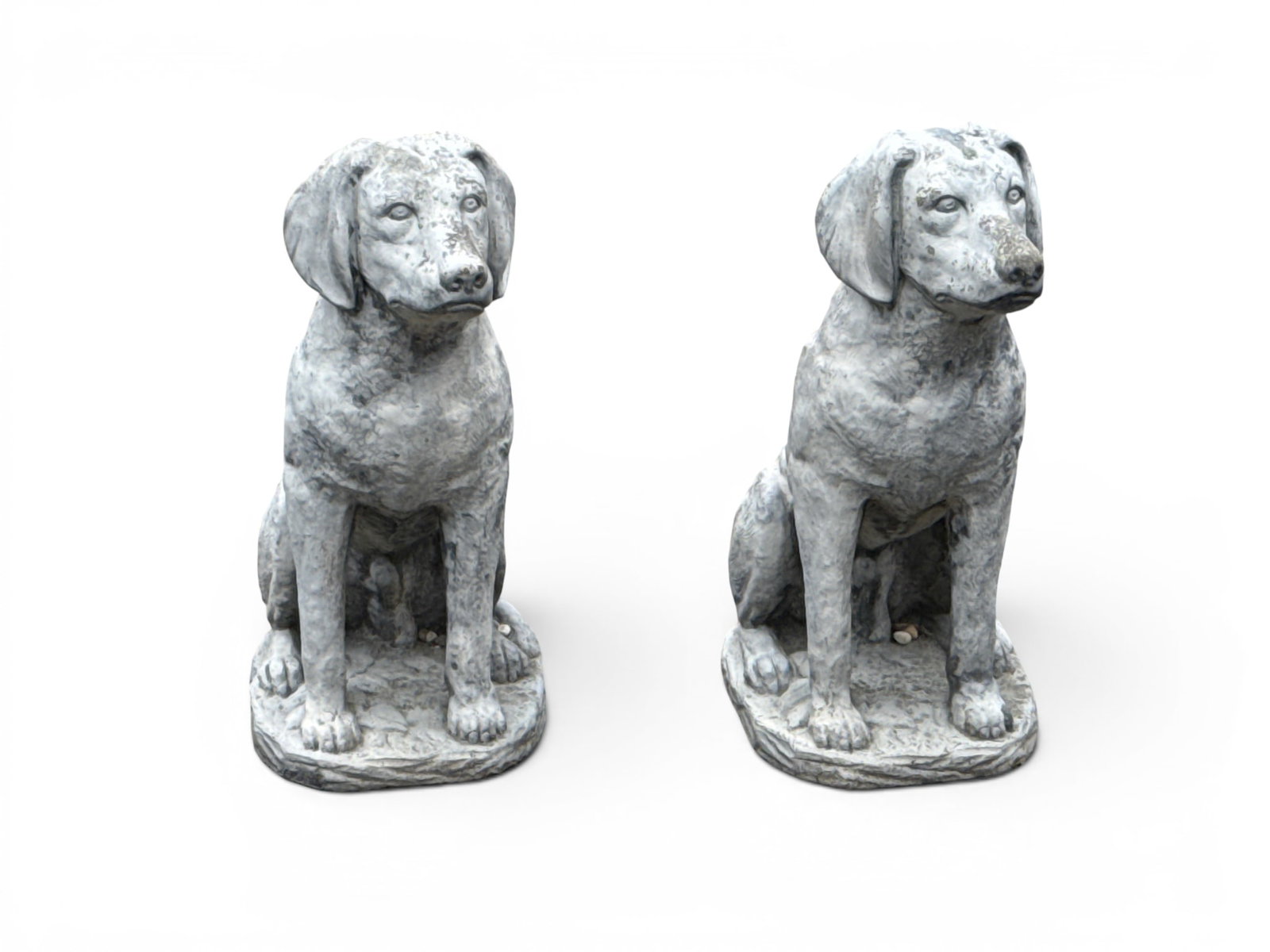 Pair of Cast Stone Dog Garden Statues (1 of 5)