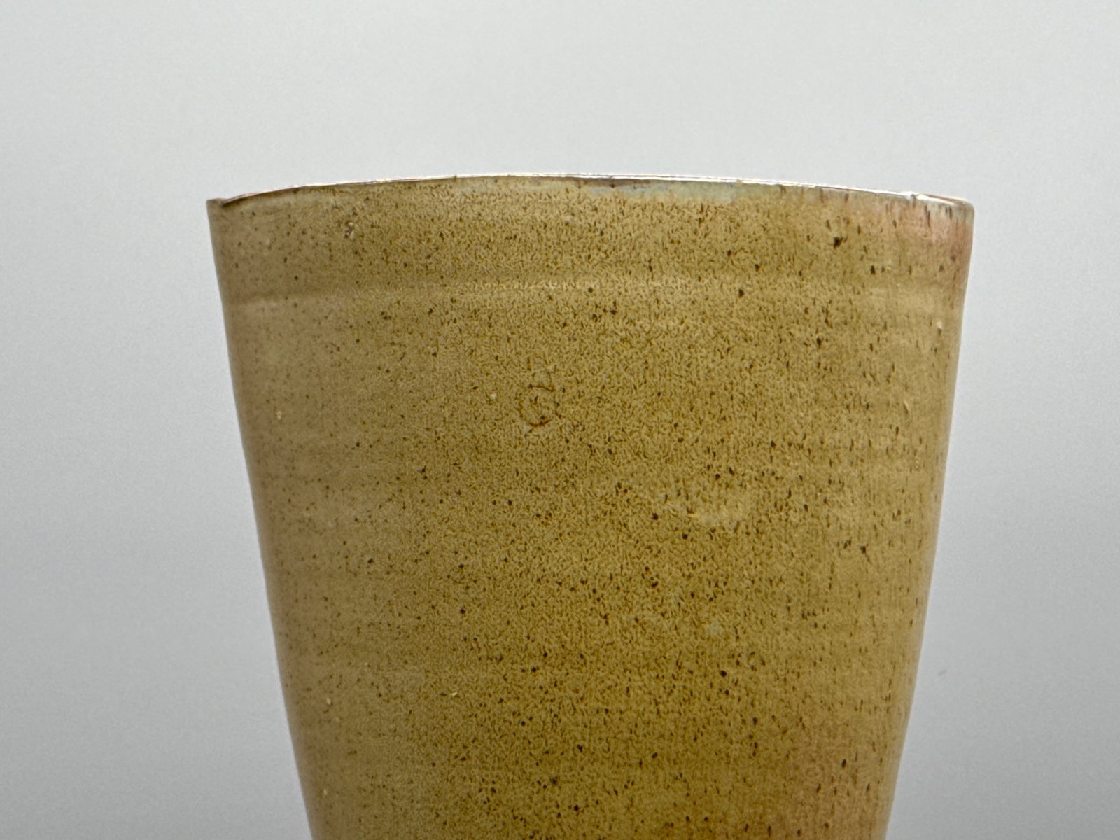 Chris Staley Two Handled Tall Vase - 4