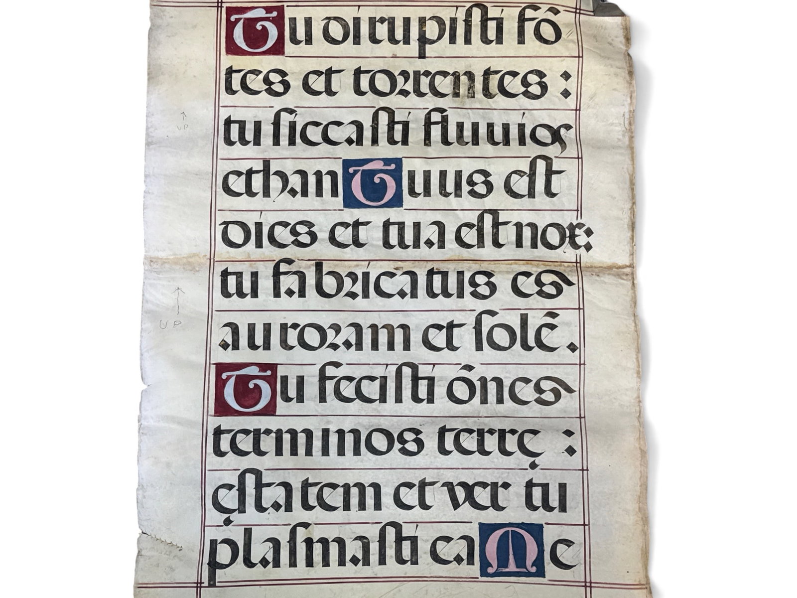 17th C. Latin Hand-painted Manuscript Bible Leaf (1 of 5)