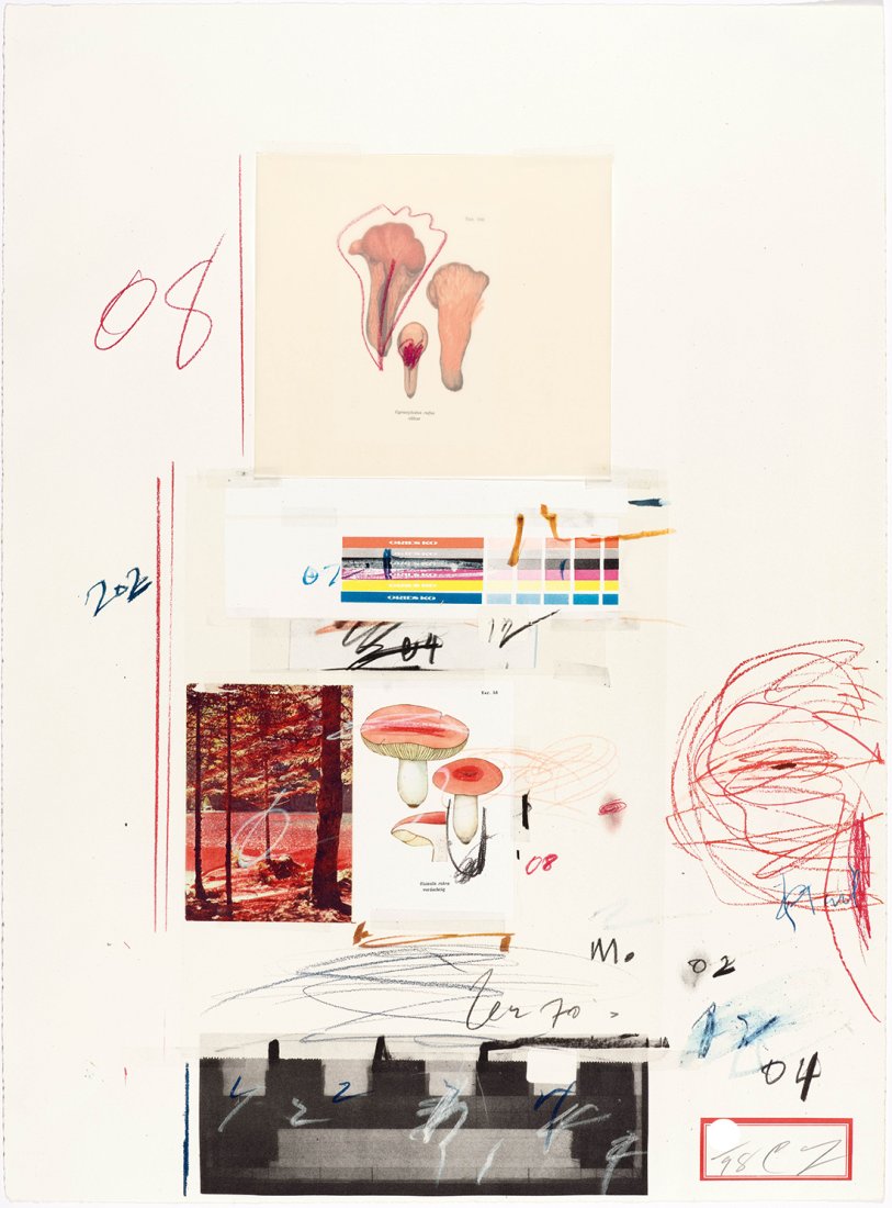 CY TWOMBLY - "NATURAL HISTORY PART I NO.V" - Signed litograph and collage (1 of 3)