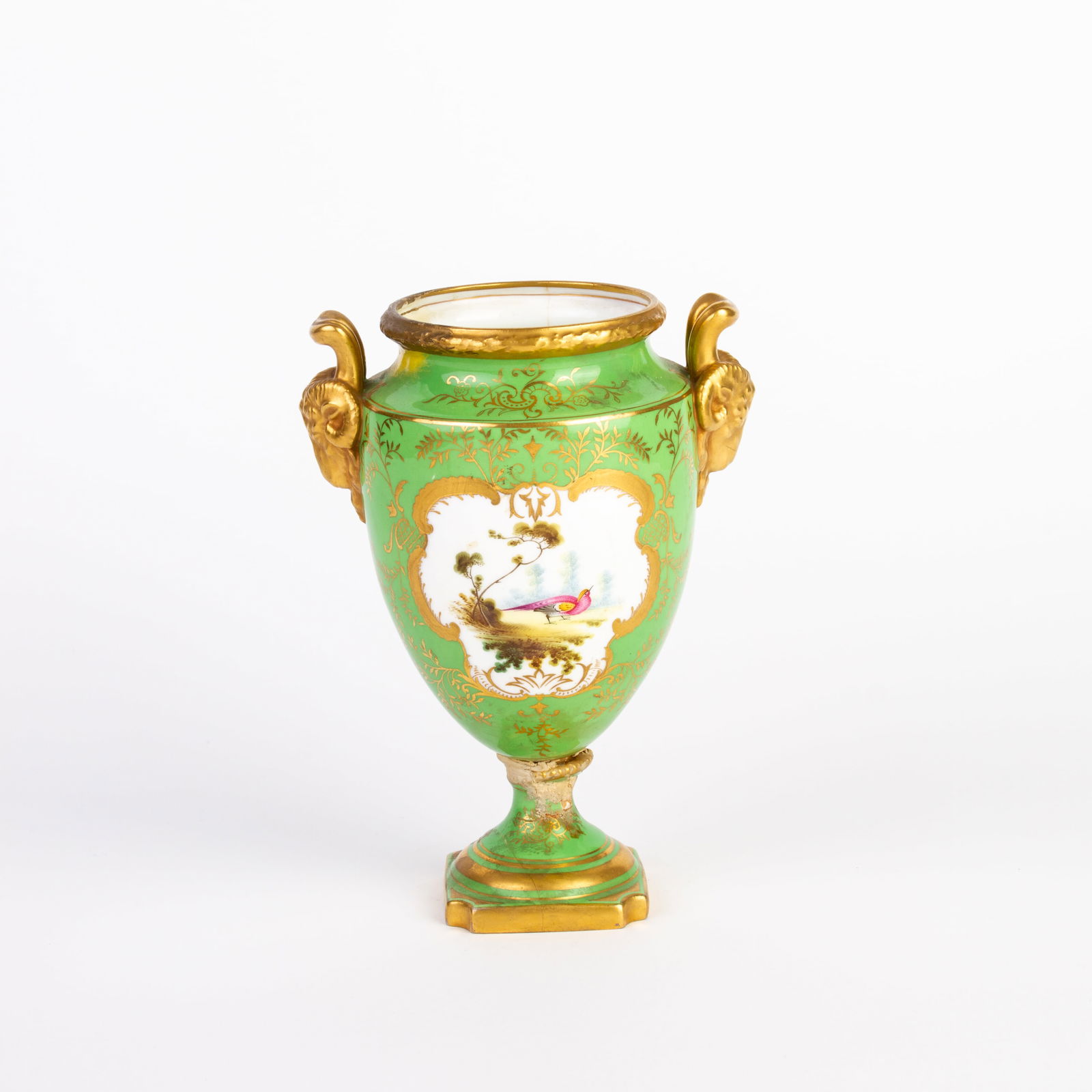 Coalport Fine Porcelain Vase with Rams Heads & Exotic Bird (1 of 5)