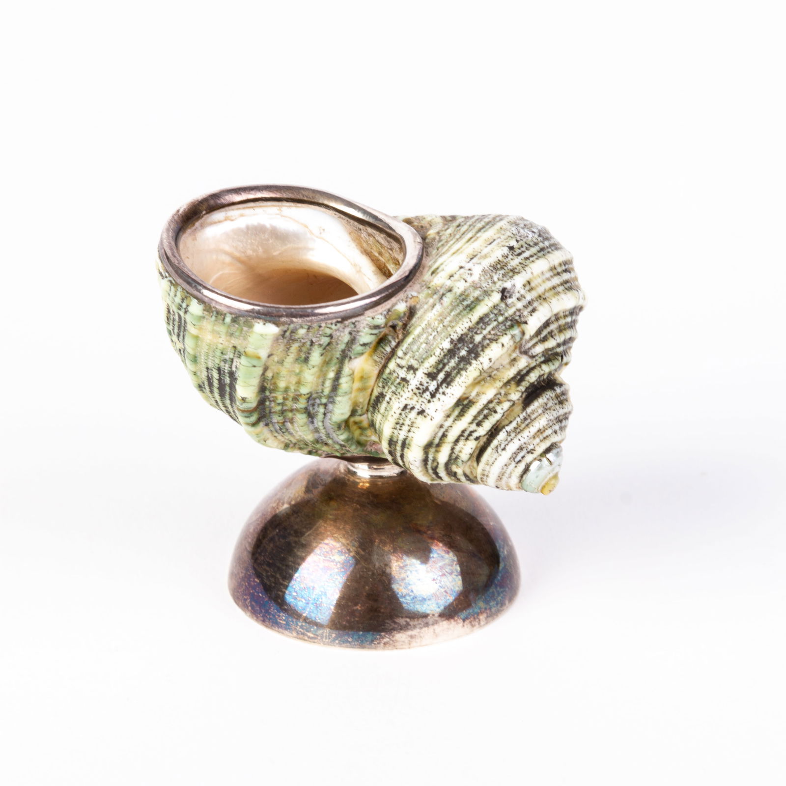 Sterling Silver Nautilus Shell Salt Cellar (1 of 5)