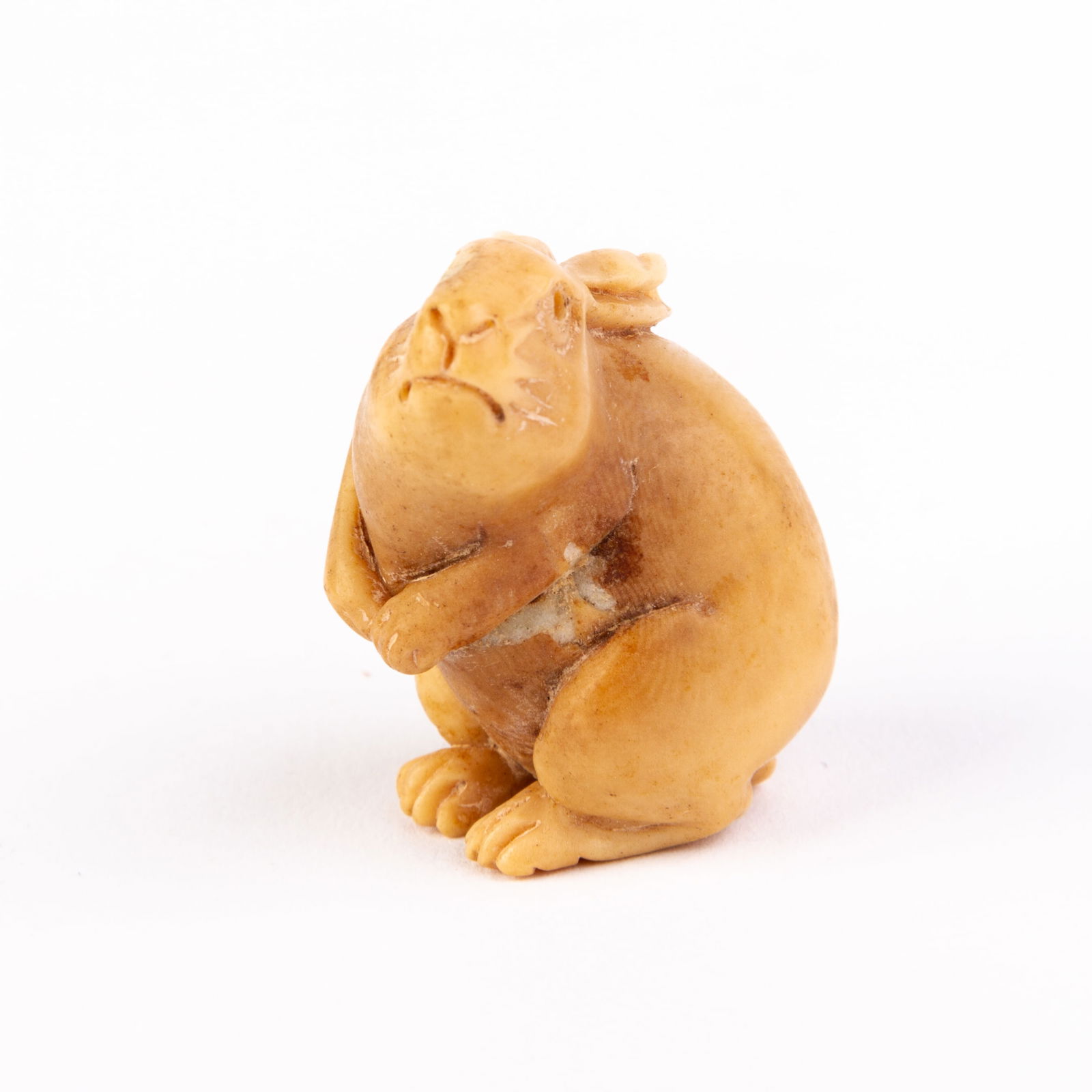 Japanese Tagua Nut Netsuke of a Rabbit (1 of 5)