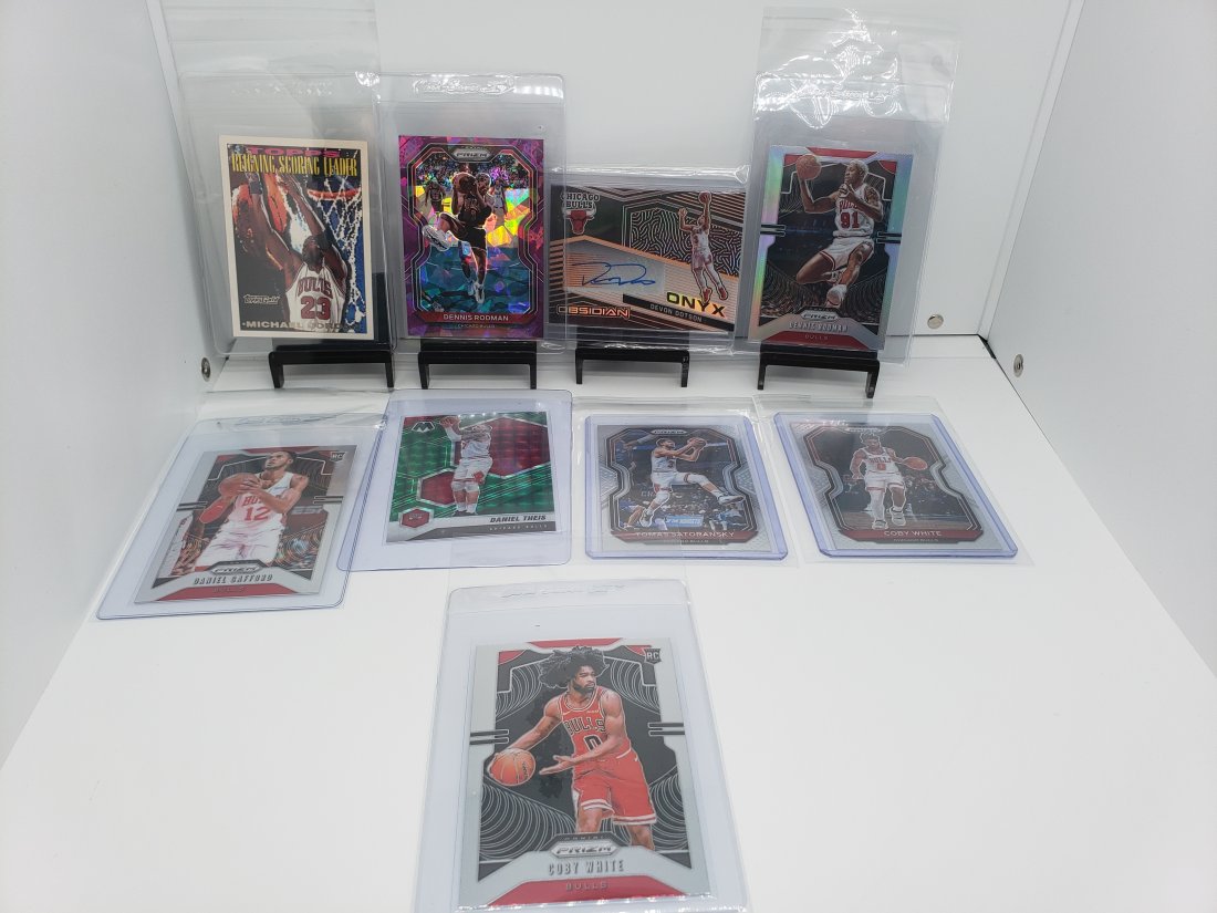 (9) Basketball Chicago Bulls Michael Jordan Dennis Rodman Devon Dotson (1 of 6)