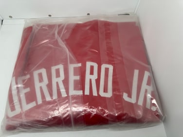 VLADIMIR GUERRERO JR AUTOGRAPHED Jersey JSA Certified