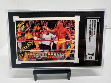 Hulk Hogan/Savage WWF WWE SGC 7 Pop 1