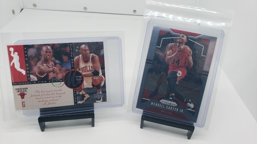 Bulls Michael Jordan GOAT Basketball