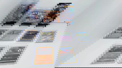 (9) Pokemon Chilling Reign pack, Vmax, Break card