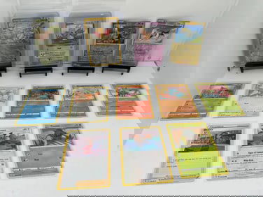 (12) TCG Pokemon EX, Jungle vintage