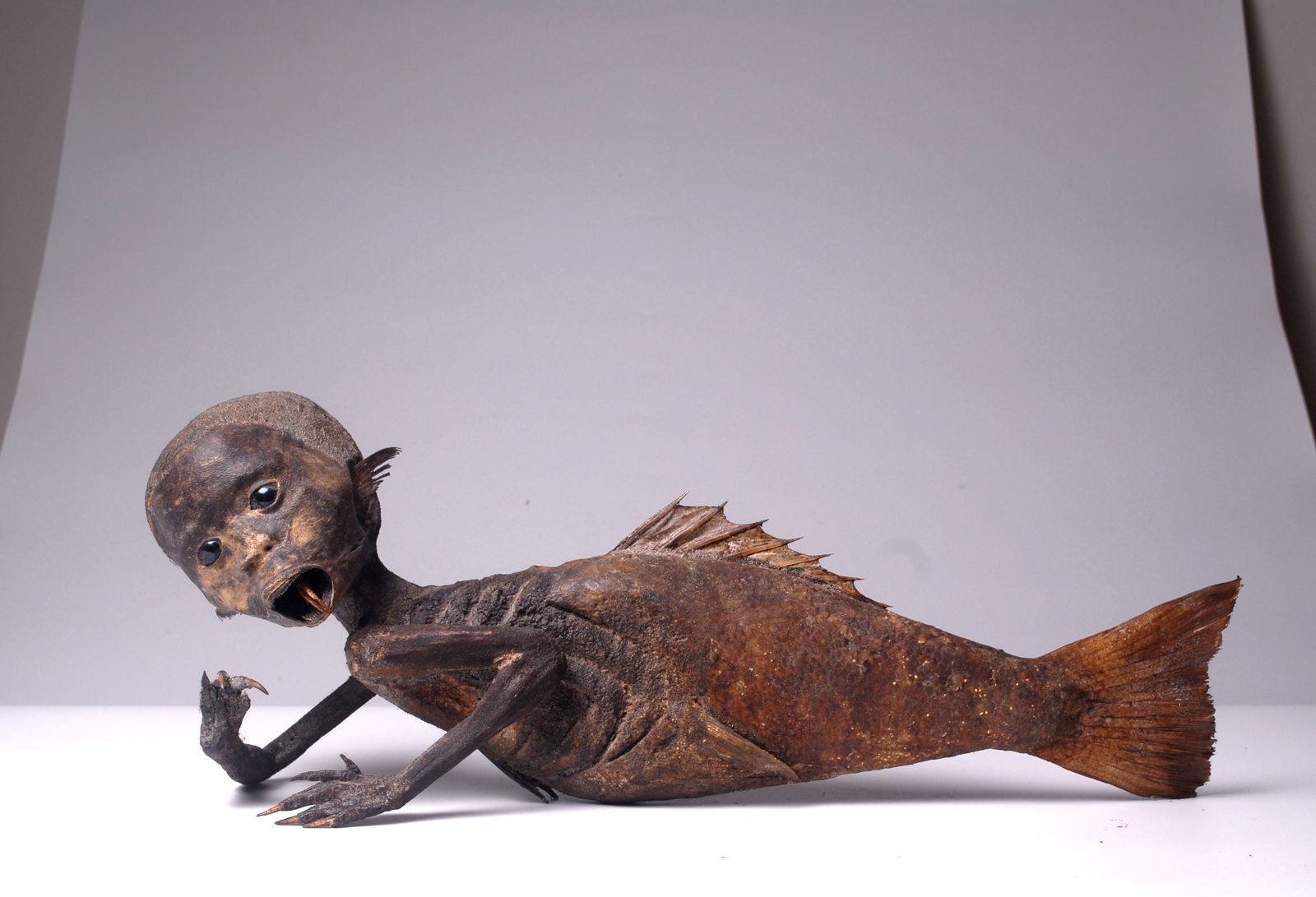 Mummified Mermaid Fiji Mermaid (1 of 14)