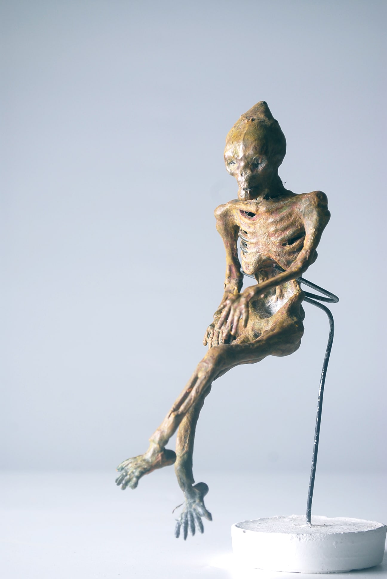 Mummified Alien Body (1 of 12)