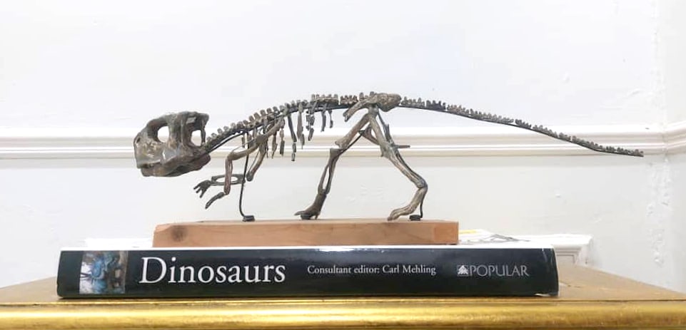 Dinosaur Fossil Psittacosaurus Skeleton: Dinosaur Fossil Psittacosaurus Skeleton Psittacosaurus Skeleton. This is not a real fossil but it is a replica made by the artist. Handmade without molding. One in the world. Intriduce of Psittacosaur