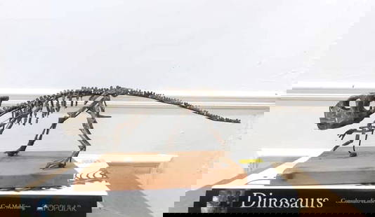 TSChin "Psittacosaurus Dinosaur Skeleton": Dinosaur Fossil Psittacosaurus Skeleton Psittacosaurus Skeleton. This is not a real fossil but it is a replica made by the artist TSChin. Handmade without molding. One in the world. Introduce of Psitt