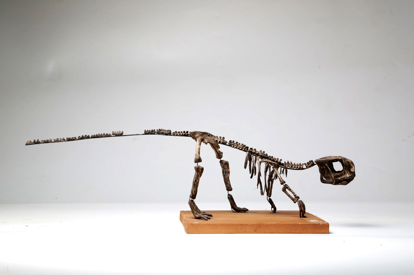 Psittacosaurus Dinosaur Skeleton (1 of 8)