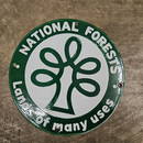 Rare Conceptual 8-Inch National Forest Porcelain Sign ? Unused Prototype Design