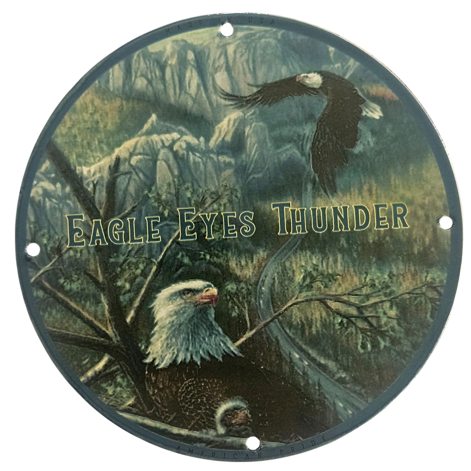 David Mann Inspired Motorcycle Collectible Porcelain Sign - Eagle Eyes Thunder: Discover the allure of the open road with this exquisite 8-inch porcelain sign, 'Eagle Eyes Thunder,' inspired by the legendary artist David Mann. This collectible piece is not just a decoration; it e