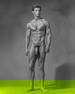 Vintage Beefcake Elegance ? Timeless Gicl?e Print of Classic Male Aesthetics