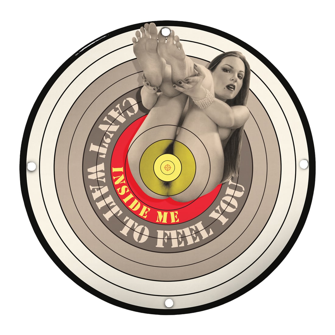 Unique 8" Inch Porcelain Sign for Collectors ? Vintage Home D?cor with Attitude: Transform your space with this eye-catching 8" inch porcelain sign featuring a provocative design that blends vintage aesthetics with a modern twist. Perfect for collectors, home decorators, or anyone
