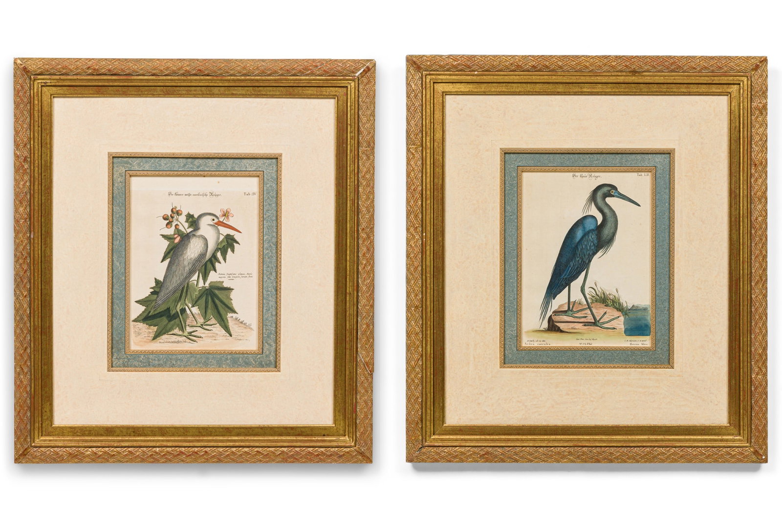 Mark Catesby, Pair ornithology engravings,18th c. (1 of 20)