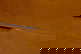 item-205102242=13