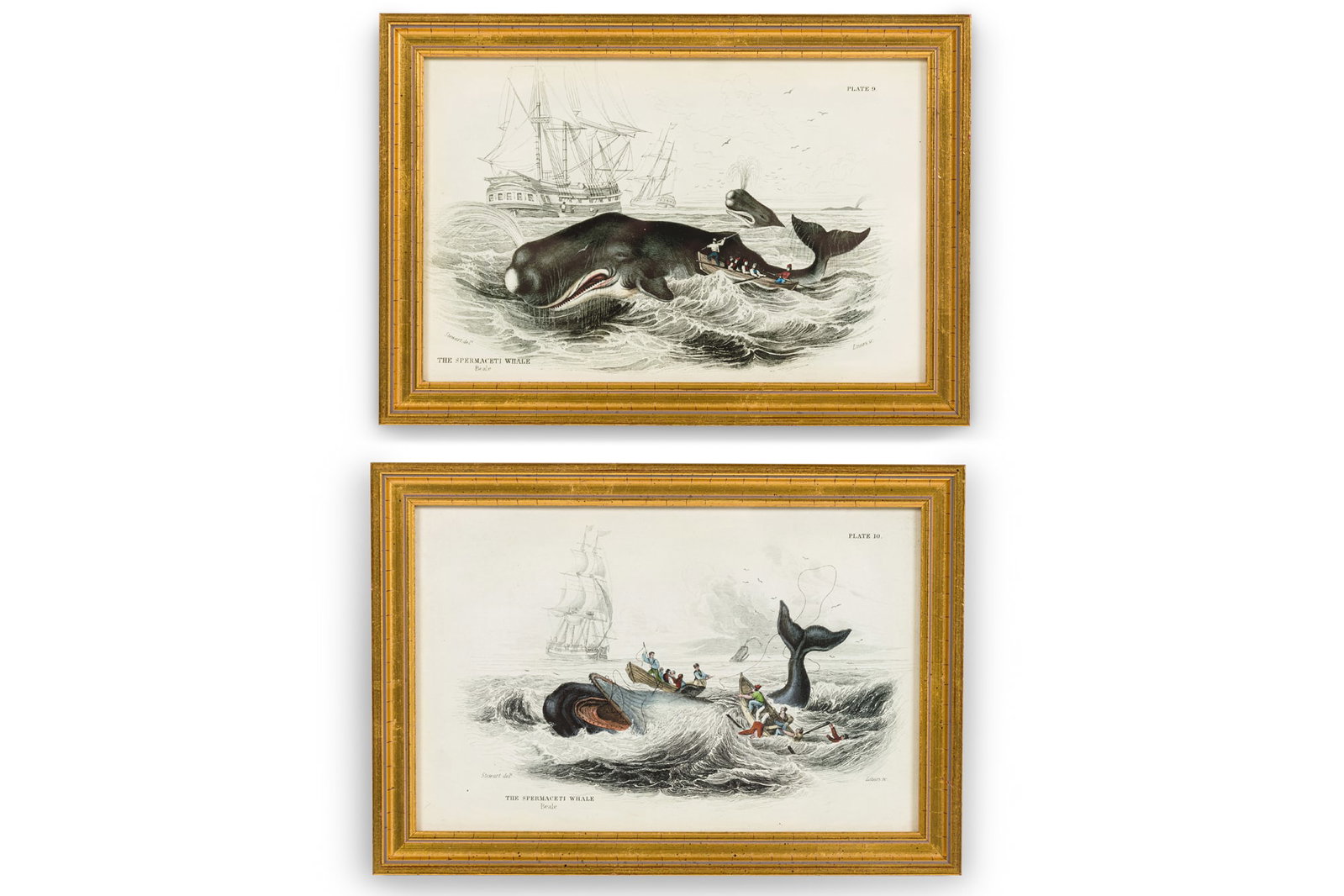William Home Lizars, (2) whaling lithographs, c. 1835 (1 of 15)