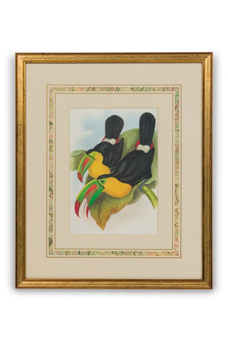 John Gould, hand-colored Ornithology engraving, c. 1854 (1 of 7)