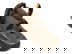 item-208699989=2