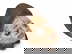 item-208699998=1
