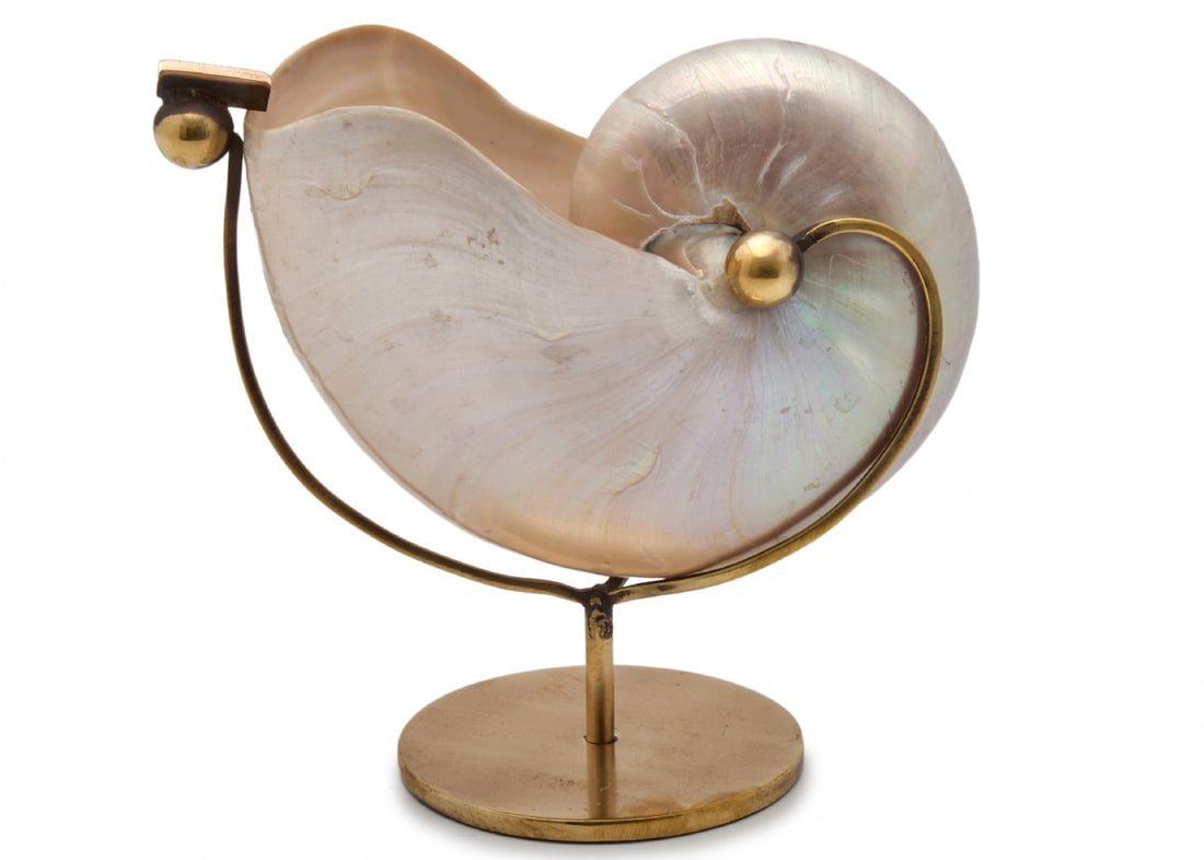 Natural Nautilus Shell with Delicate Pearl Hue on a Gilded Metal Stand: Natural Nautilus Shell with Delicate Pearl Hue on a Gilded Metal Stand, small chip on the shell Height: 16 cm Width: 16 cm Notice: We are located in Israel and provide full packing and shipping servic