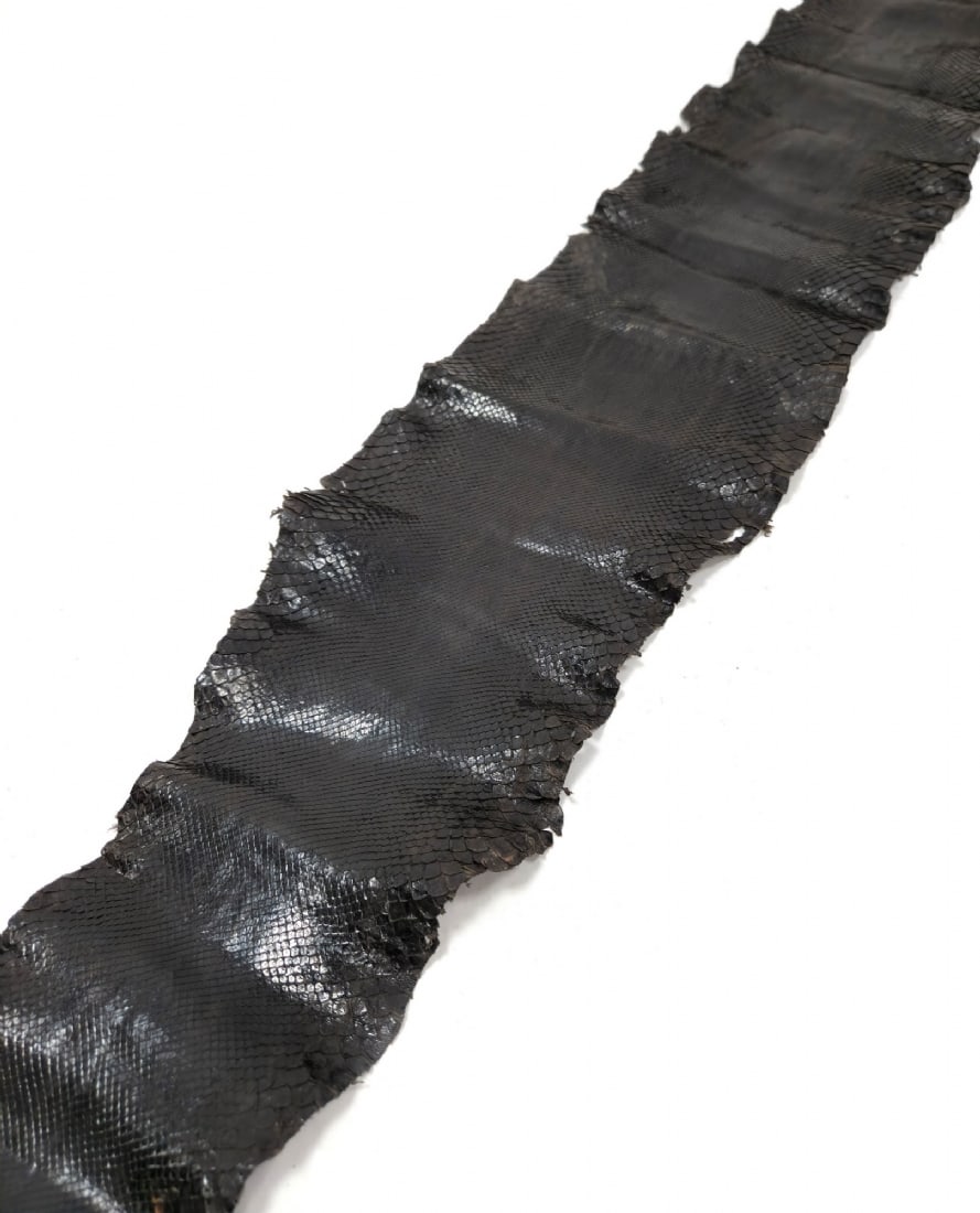 Processed Natural Python Snake Skin (1 of 4)