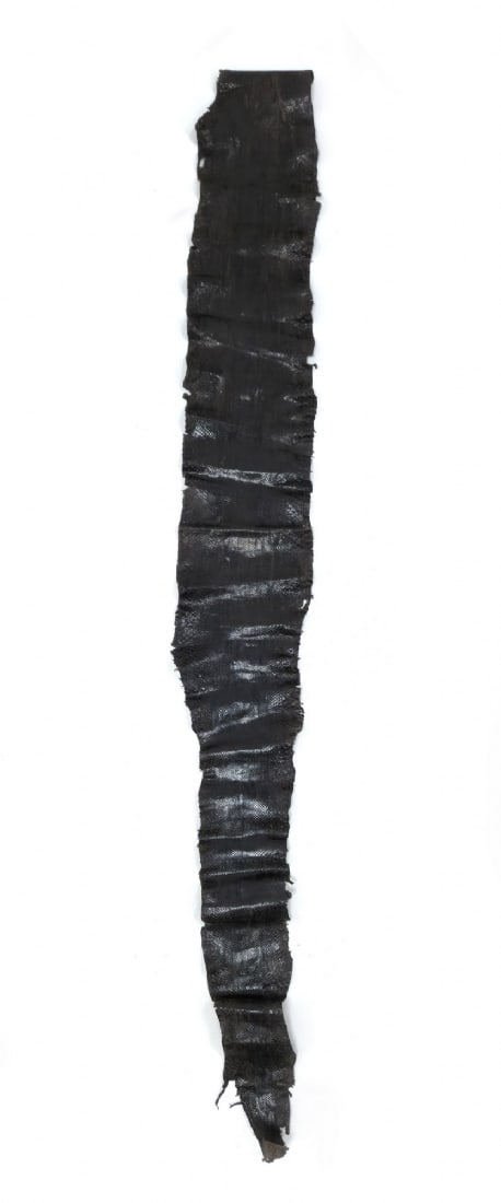 Processed Natural Python Snake Skin - 2