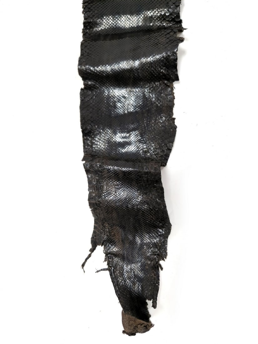 Processed Natural Python Snake Skin - 3